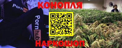 молекула духа Северобайкальск