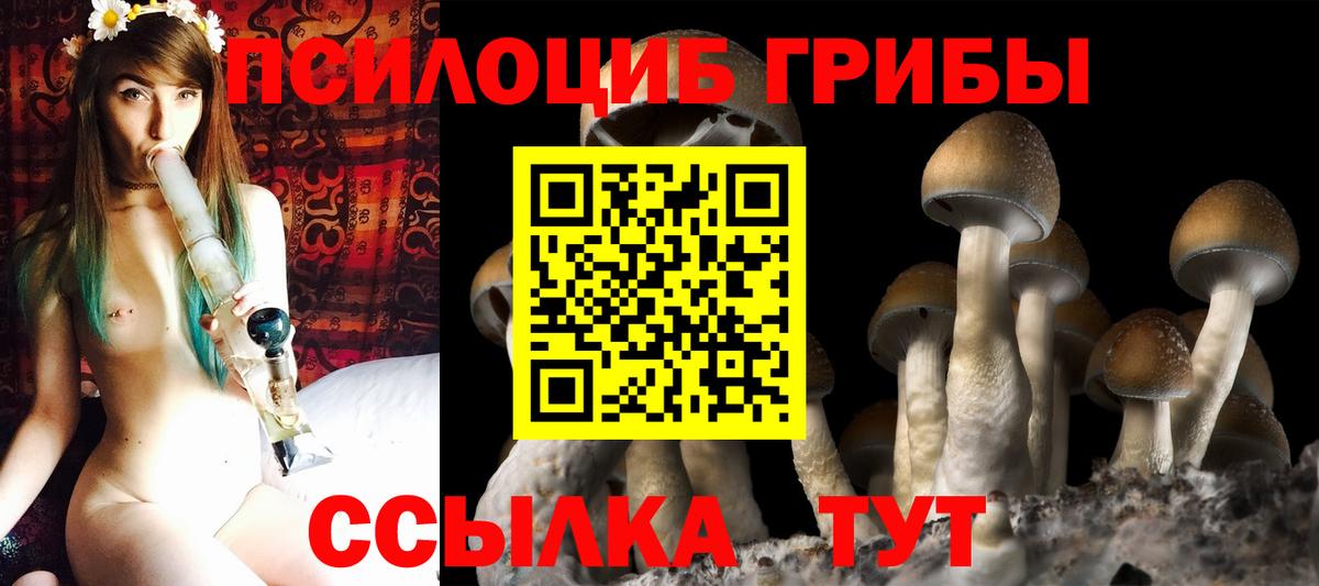 Галлюциногенные грибы Psilocybe  Галлюциногенные грибы ЛСД  Вход с VPN  Саяногорск 