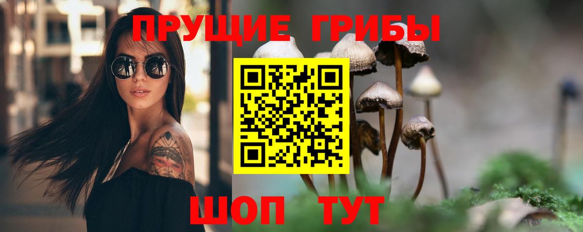 Галлюциногенные грибы прущие грибы Саяногорск